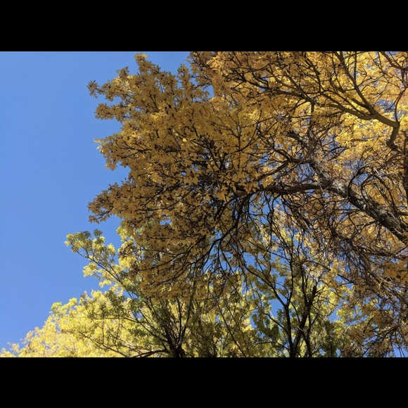 Meet your Posher, Monica - Picture 5 of 12